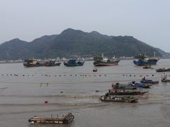 -北岐滩涂