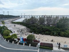 -宝安西湾红树林湿地公园