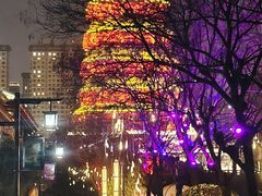 -西安汉城湖景区