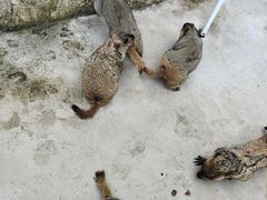 -南戴河国际娱乐中心