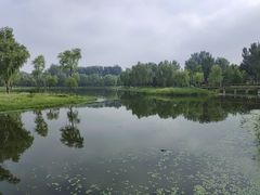 -东郊湿地公园