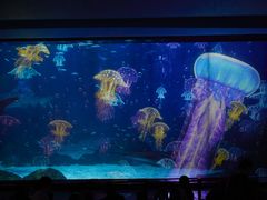 -海合安成都极地海洋公园