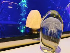 -迪拜帆船酒店海底餐厅