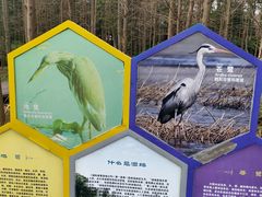 -渤公岛生态公园