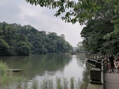 -青城山