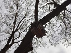 -北京西山国家森林公园