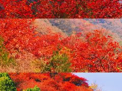 -沉浸北京·团建旅行·密室剧本杀·年会会议轰趴拓展
