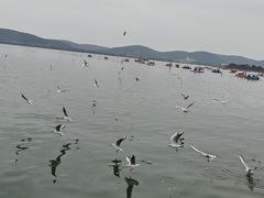 -蠡湖大桥公园
