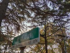 -八大关景区