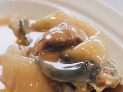 -子福慧(虹桥店)