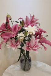 -FUMEIHUI·科技美肤·美体SPA