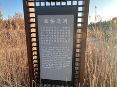-马家湾湿地公园