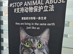 -瑞派雷欧宠物医院·中兽医·眼科·急重症转诊中心(黄台店)