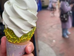 -IL paperino帕帕里诺冰激凌