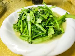 -煲来饱去冷水鱼