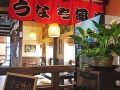 -春草居酒屋·晴子の店