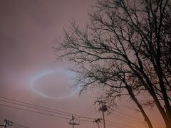 -远洋未来广场(育慧北路店)