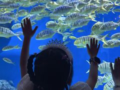 -成都浩海立方海洋公园