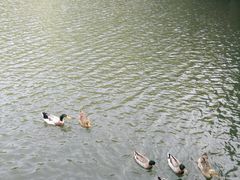 -黄金沟旅游风景区