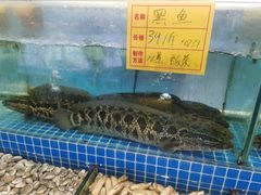 水产区-友鹏海鲜(新宜白大道店)