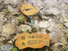 -东沙渔村