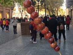 冰糖葫芦-华梅西餐厅(哈尔滨中央大街店)