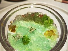 绿意竹丝燕-叶叶菩提·晋福宫