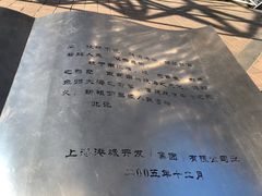 -南汇嘴观海公园