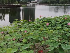 -西海子公园