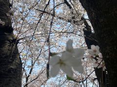 -苏州上方山国家森林公园