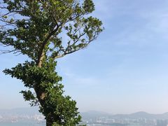 -YHA赛马会摩星岭青年旅舍(香港岛)