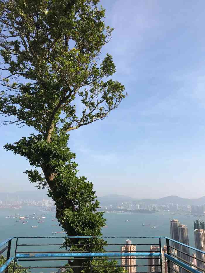 香港赛马会摩星岭青年旅舍-"a truly great choice."-大众点评移动版