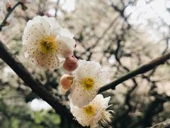 -双塔老饭店