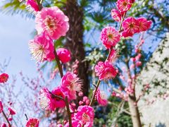 -鸡鸣寺