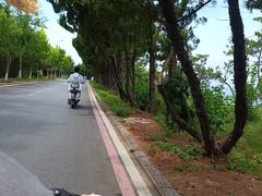 -养马岛旅游度假区