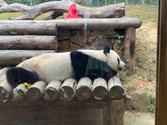 -南京汤山紫清湖生态旅游温泉度假区