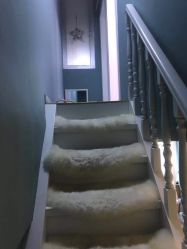 -YOUNGSKIN氧研皮肤管理中心