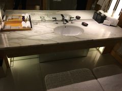 -新加坡丽思卡尔顿美年酒店