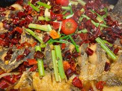 -老板恋上鱼(恒隆广场店)