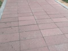 -江头公园