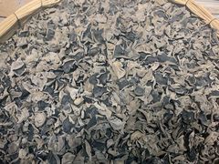 -鸽子窝(宋庄店)