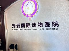 -宠爱国际动物医院·疑难骨科·心肾内科·皮肤科(太阳宫店)