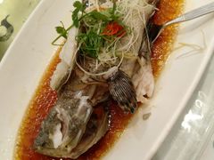 -骏莱海鲜鱼港(五角场店)