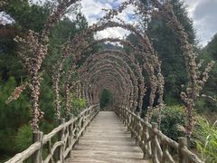 -南武当山景区
