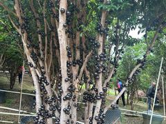 -东门町美食街
