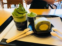 -雪绿茶博物馆