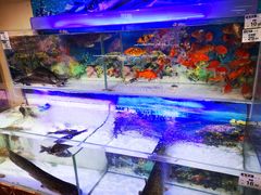 -家乐购(佳木斯万达广场店)