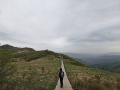 -白草畔自然风景区