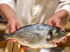 -镹·鱼料理  国产鱼使用店