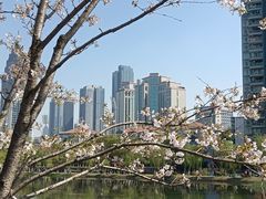 -西北湖绿化广场